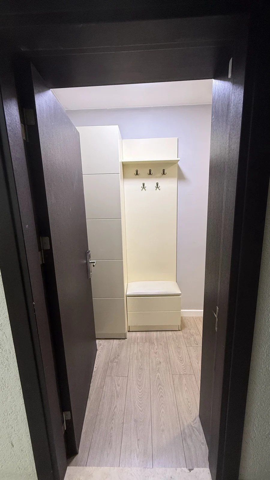 Entrance and hallway · F 411 · 17